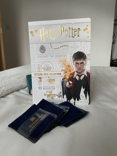 Harry potter wizarding world - harry,