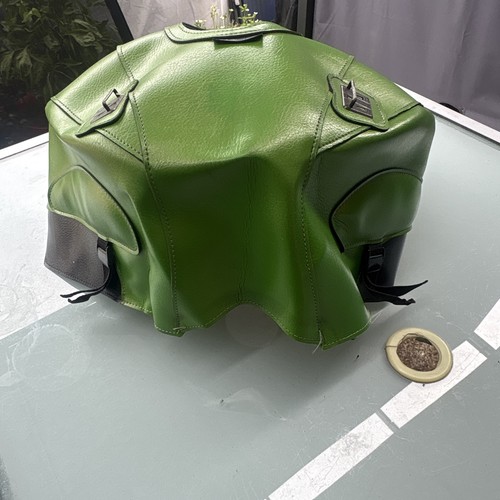 Kawasaki zzr1400 tank - zzr1400, cover