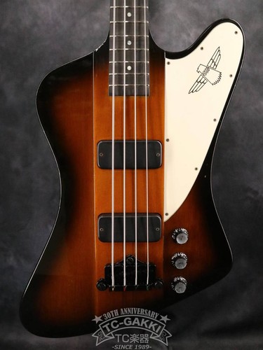 Gibson 2001 thunderbird - gibson,