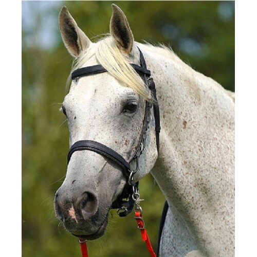 Zilco synthetic bitless bridle - zilco,