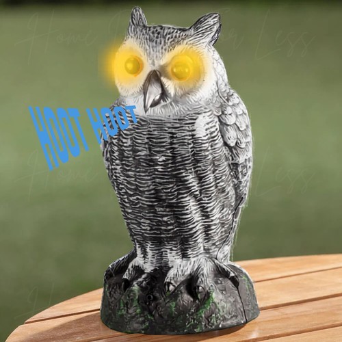 Motion activated light sound - light, &
