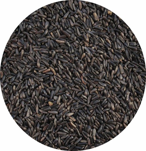 Niger nyger seed - nyger, 10kg