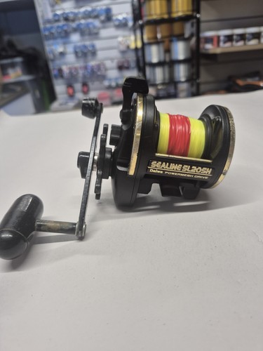 Daiwa sealine sl20sh - daiwa,