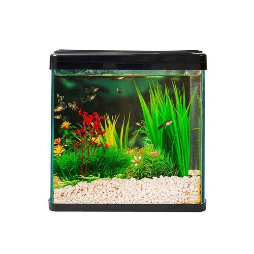 Swell small nano aquarium 30cm - small,
