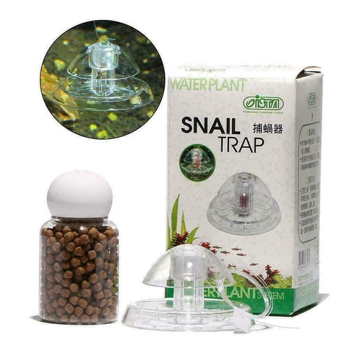 Ista snail trap - snail,