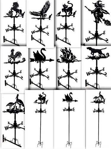 Eagle rooster swan cat witch - eagle,