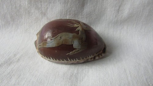 Cameo cowrie shell deer - cameo,