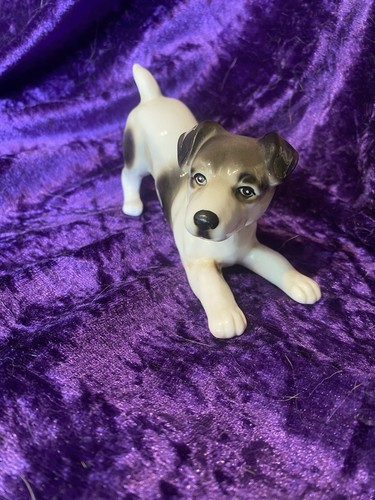 Vintage jack russell terrier - jack,