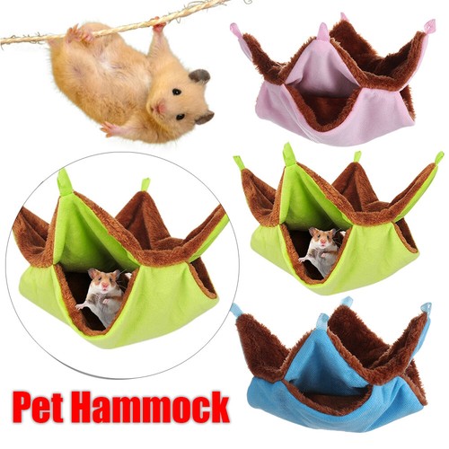 Ferret rat squirrel - rat, pet