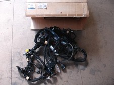 2221756 Dashboard Loom Wiring