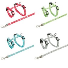 Rabbit harness and lead