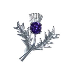 Beautiful Scottish sterling