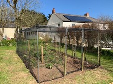 Fruit Cage Vegetable Garden