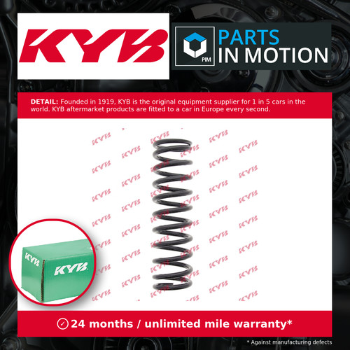 Coil springs - springs, (pair