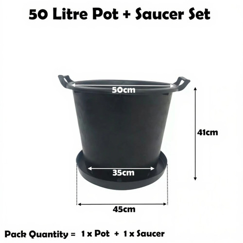 Litre plant pot with - 50,