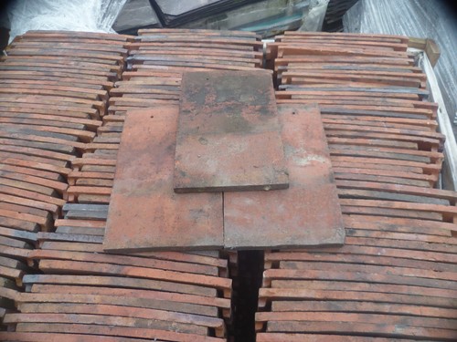 Reclaimed rosemary type - rosemary,