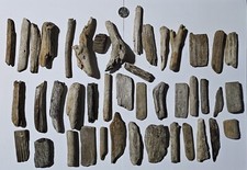 Driftwood Pieces Perfect For