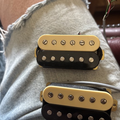 Prs zebra humbucker - ce, 24