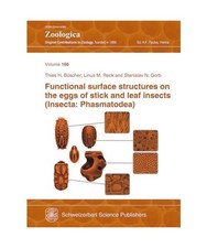 Functional surface structures