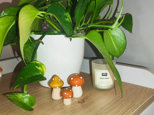 Handmade seasonal nature - handmade,