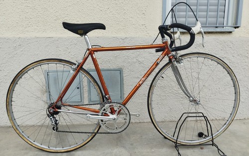 Wilier triestina pantographed - triestina,