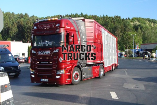 Truck photo scania livestock - photo,