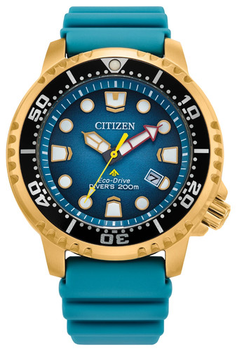 Citizen promaster dive - citizen,