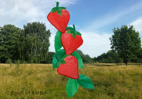 Strawberries windsock - 3d,