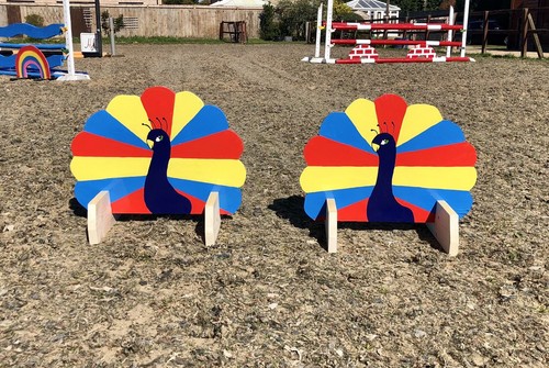 Show jump fillers pair of - show,