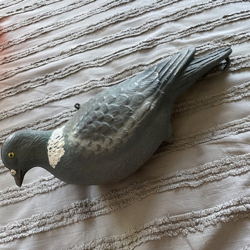David nickerson decoy pigeon - david,