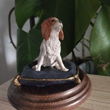 Country Artists King Charles