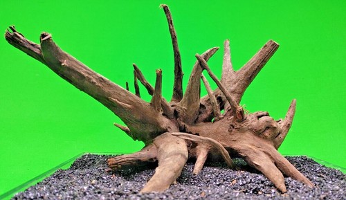 Small corbo root aquarium - small,