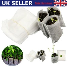 100/400Pcs Plant Flower Grow