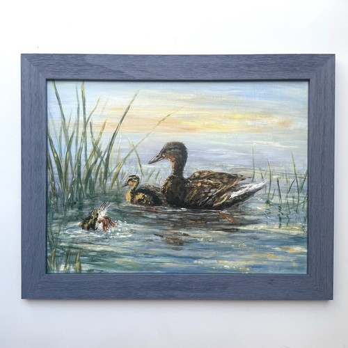 Original mallard duck - original, and