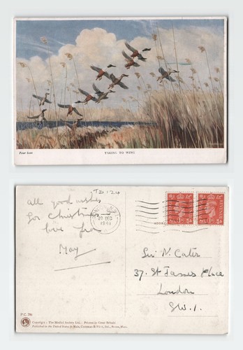 Vintage postcard peter scott - vintage,