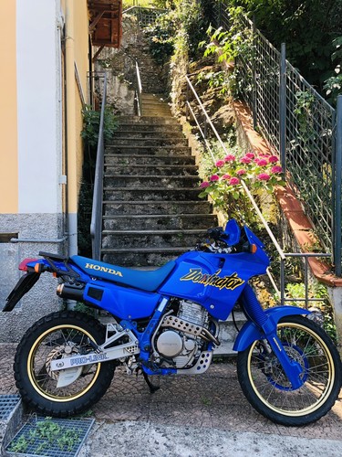 Honda dominator nx650 - dominator, sticker