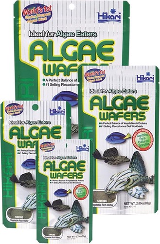 Hikari algae wafer catfish - algae,