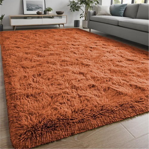Fluffy rugs large shaggy - rugs,