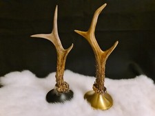 Jewellery stand key holder