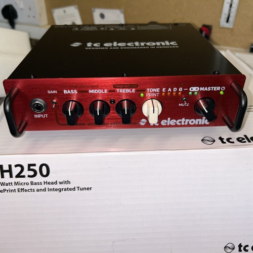 Electronic bh250 bass amp - electronic,