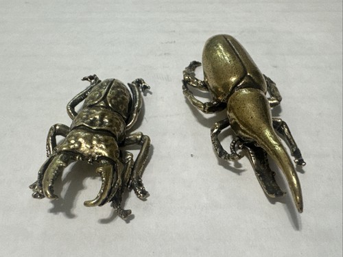 Solid brass weevil stag beetle - solid,