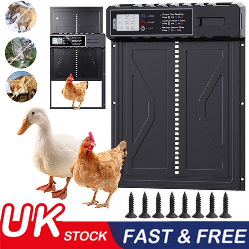 Automatic chicken duck goose - chicken,