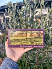 Vintage Cadburys Bournville