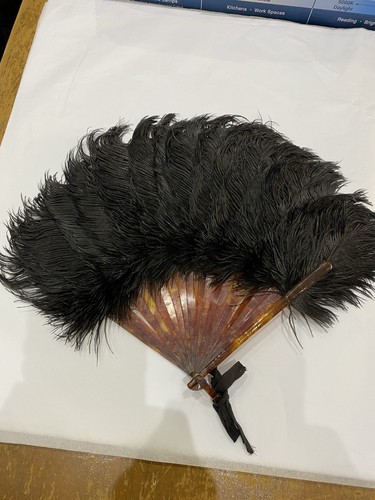 Vintage black feather - vintage,