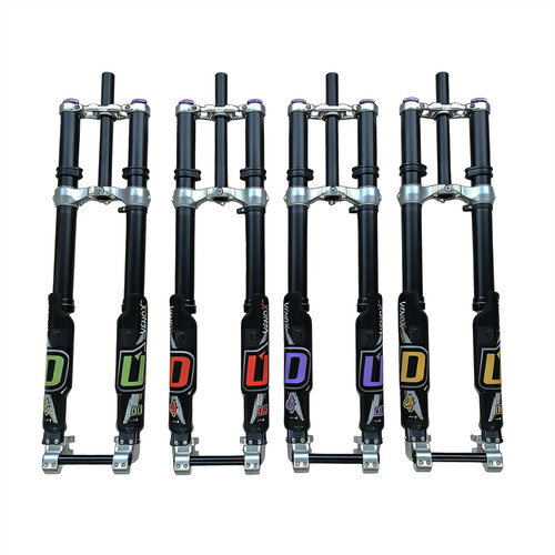 Ebike front downhill - front,