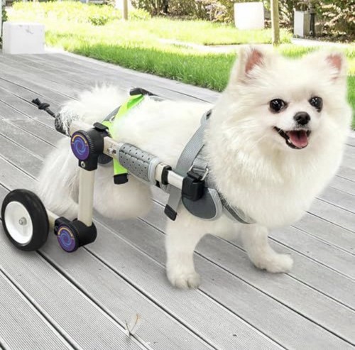 Letpetrun adjustable dog - letpetrun,