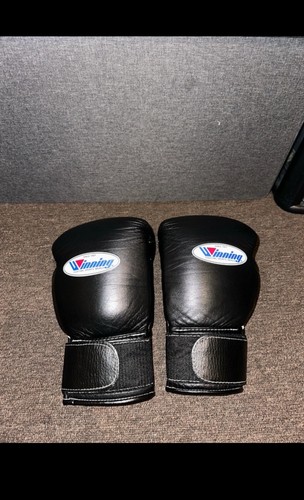 Winning boxing gloves - winning,