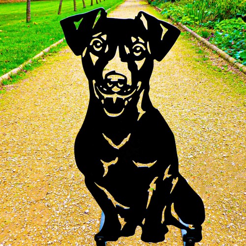 Jack russell terrier garden - jack,