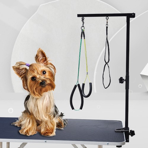 Pet dog grooming - grooming, table