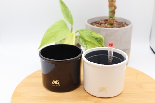 Easy watering set self - watering,